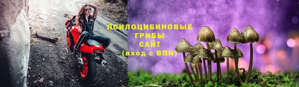 прущие крисы Зерноград